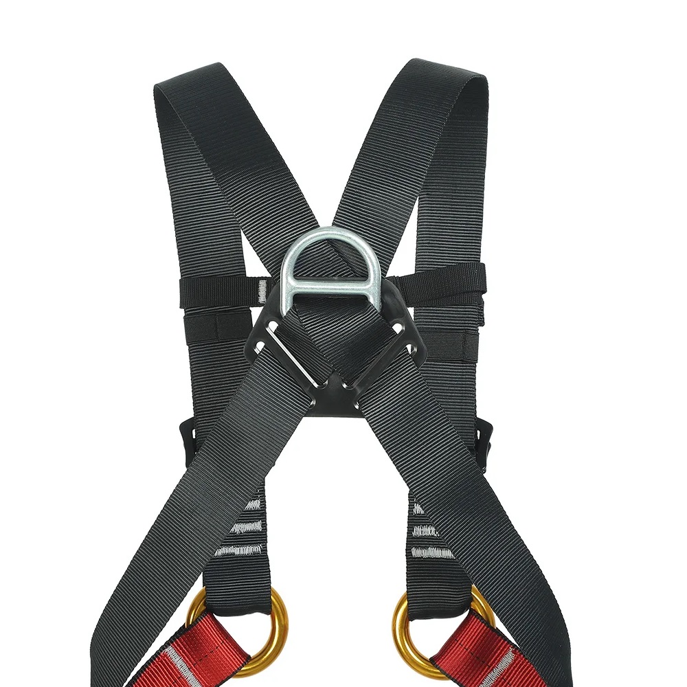 Child Indoor Expansion Full Bo - Kids Outdoor Climber review and price