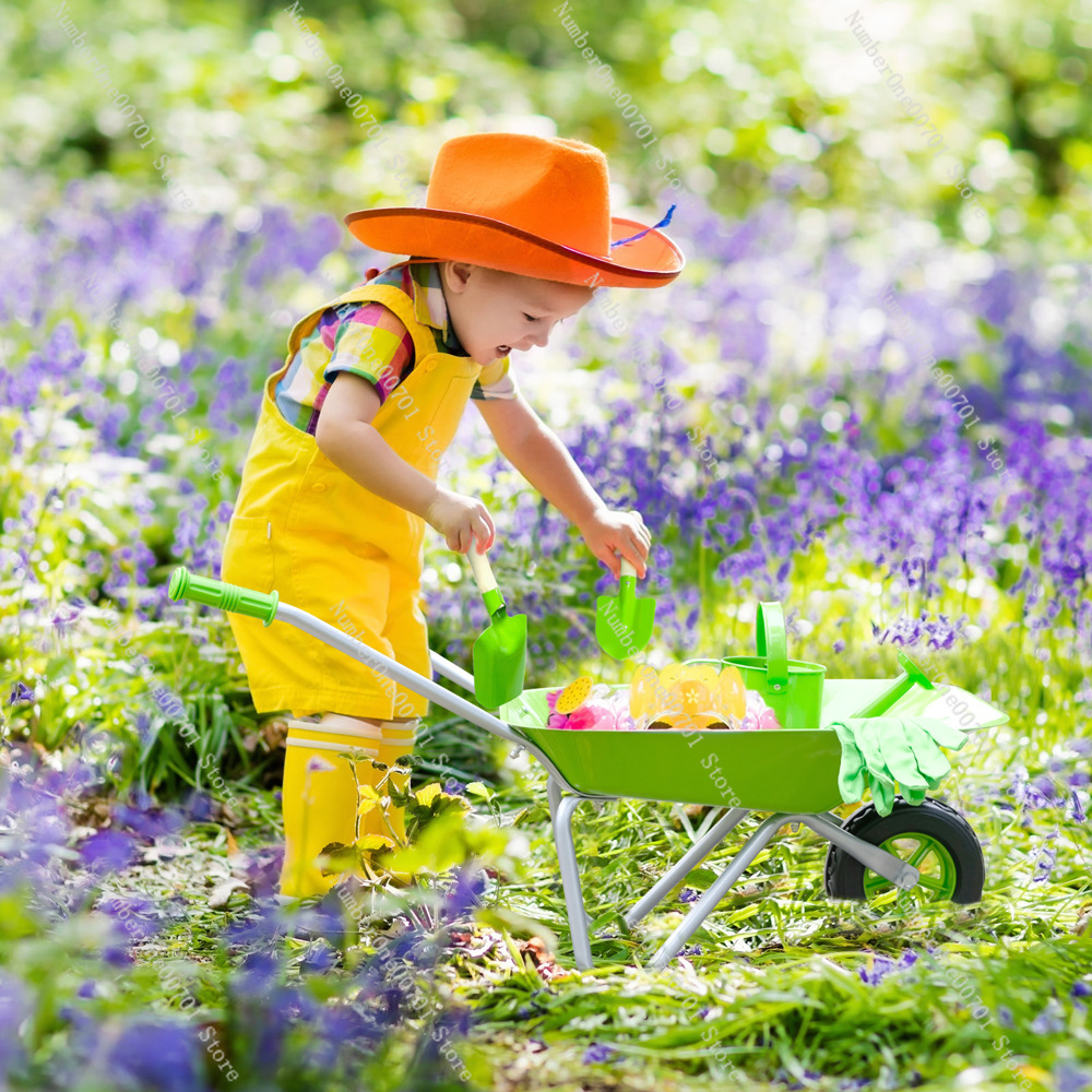 Kids Outdoor Wheelbarrow, Gree - Kids Outdoor Activity Toys review and price