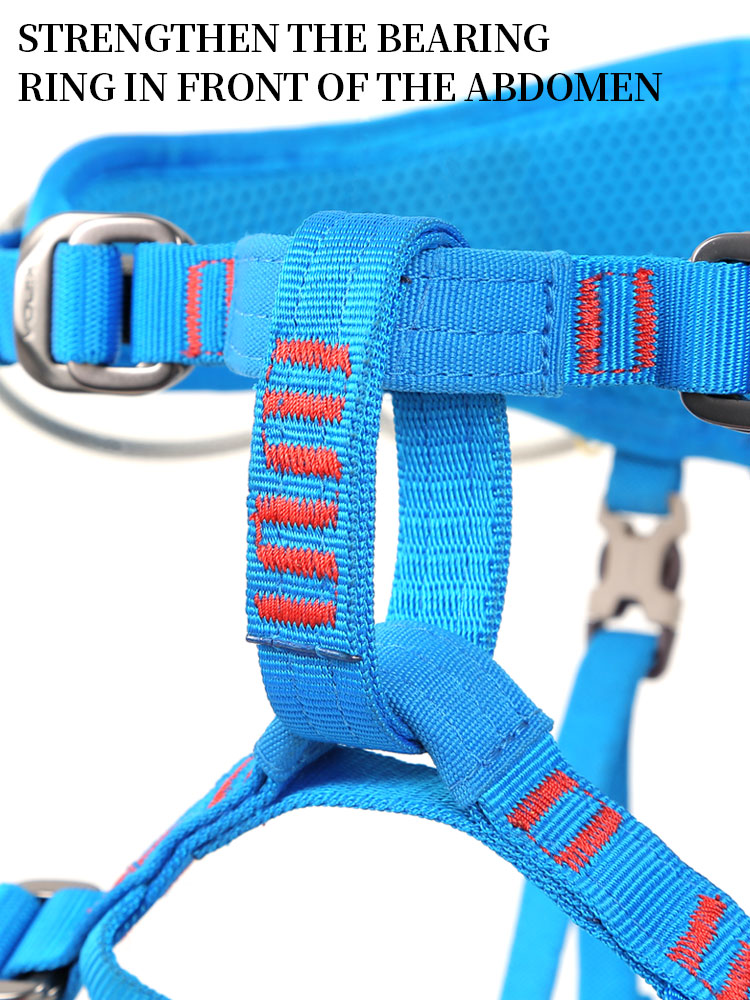 Xinda Children Half Body Safet - Kids Outdoor Climber review and price